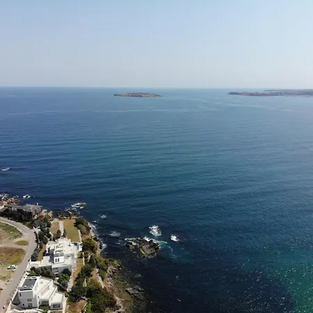 Flores Garden M Chernomorets